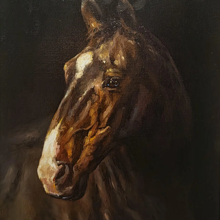 Collection image for: ANIMAL