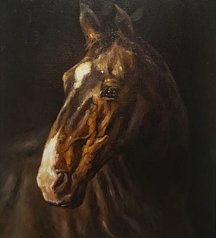 Collection image for: ANIMAL