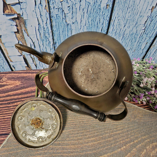 Antique Dutch Copper Tea Kettle Warmer, Walnut Pedestal, 19th Century Decor