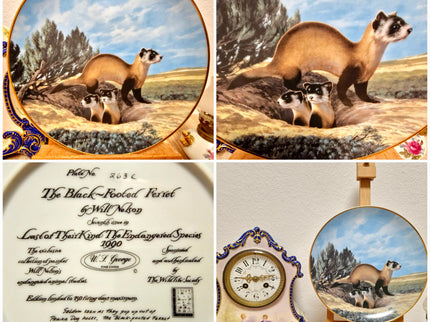 Vintage Wildlife Porcelain Plate, 22K Gold Rim, Collectible Animal Art