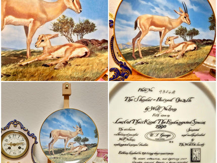 Vintage Wildlife Porcelain Plate, 22K Gold Rim, Collectible Animal Art