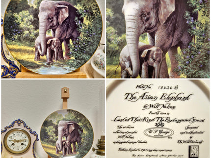 Vintage Wildlife Porcelain Plate, 22K Gold Rim, Collectible Animal Art