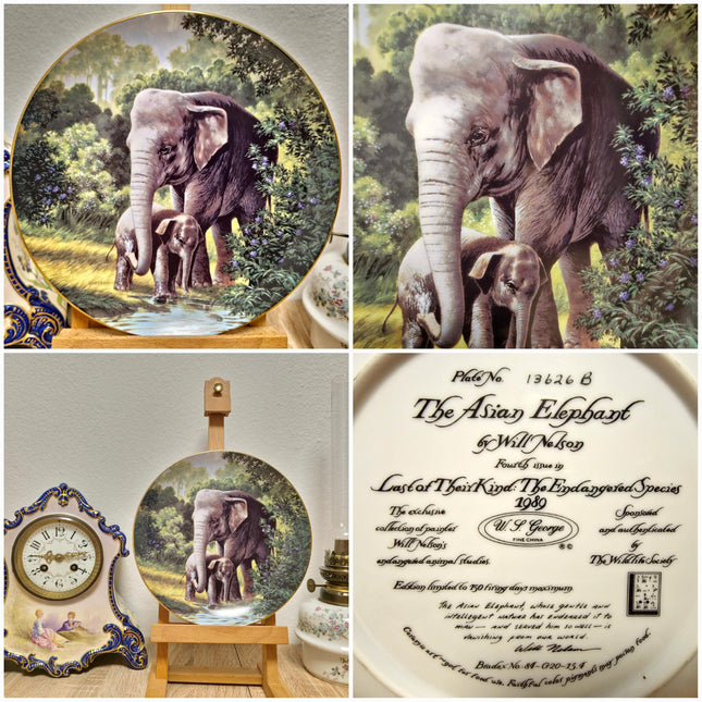 Vintage Wildlife Porcelain Plate, 22K Gold Rim, Collectible Animal Art