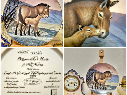 Vintage Wildlife Porcelain Plate, 22K Gold Rim, Collectible Animal Art