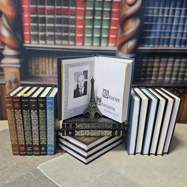 French Decorative Vintage Books, Bookshelf Decor, Classic Literature, Wedding Centerpieces, Library Styling, Antique Accents, Shelf Display
