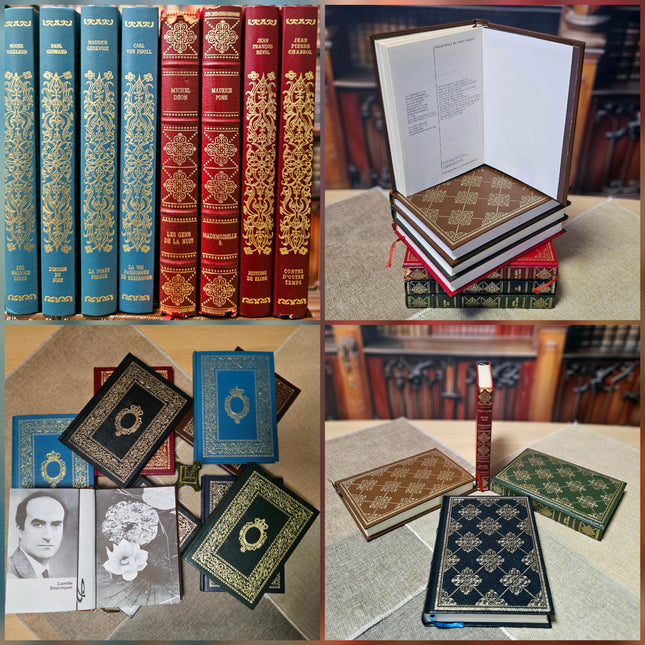 French Decorative Vintage Books, Bookshelf Decor, Classic Literature, Wedding Centerpieces, Library Styling, Antique Accents, Shelf Display