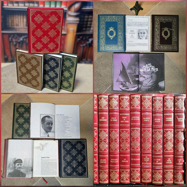French Decorative Vintage Books, Bookshelf Decor, Classic Literature, Wedding Centerpieces, Library Styling, Antique Accents, Shelf Display