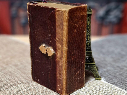 1884 Rare Antique Dutch New Testament Bible, Leather Bound with Gold Lock, Engraved Clasp, Vintage Collectible Religious Scripture Gift