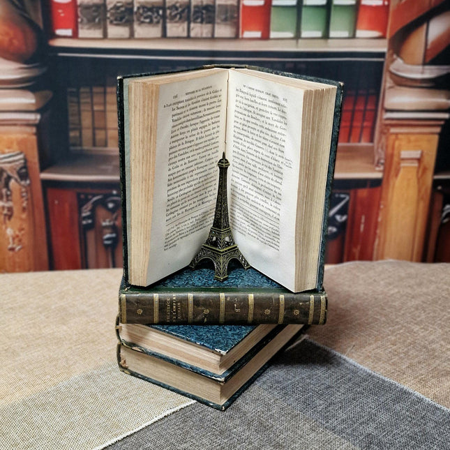 Antique French Books for Decor, Decorative Literature Set, Bookshelf Styling, Library Display, Wedding Centerpieces, Vintage Classic Accents