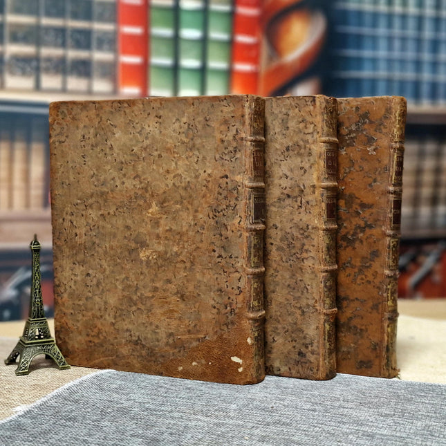 Antique French Books by Rousseau, 18th Century Set, Leather Bound Enlightenment Writings, Library Display, Bookshelf Styling for Collectors
