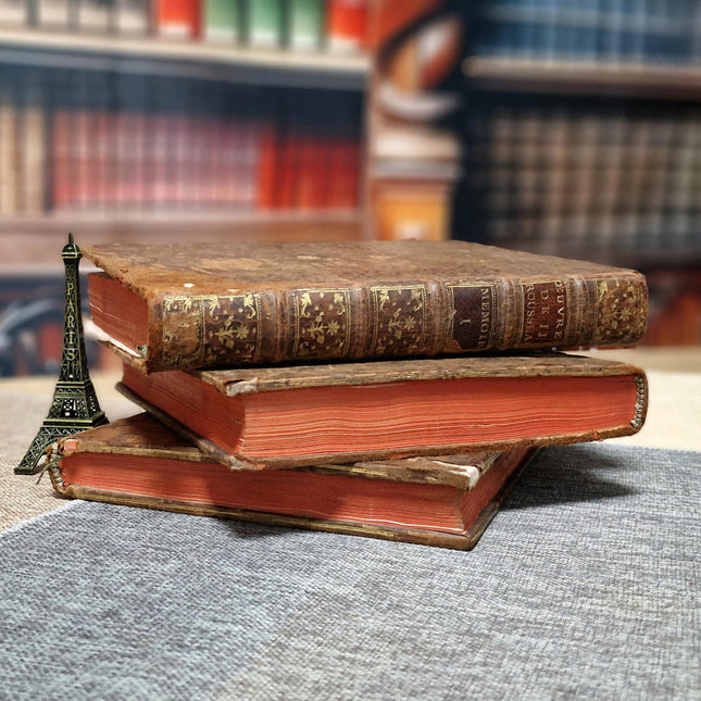 Antique French Books by Rousseau, 18th Century Set, Leather Bound Enlightenment Writings, Library Display, Bookshelf Styling for Collectors