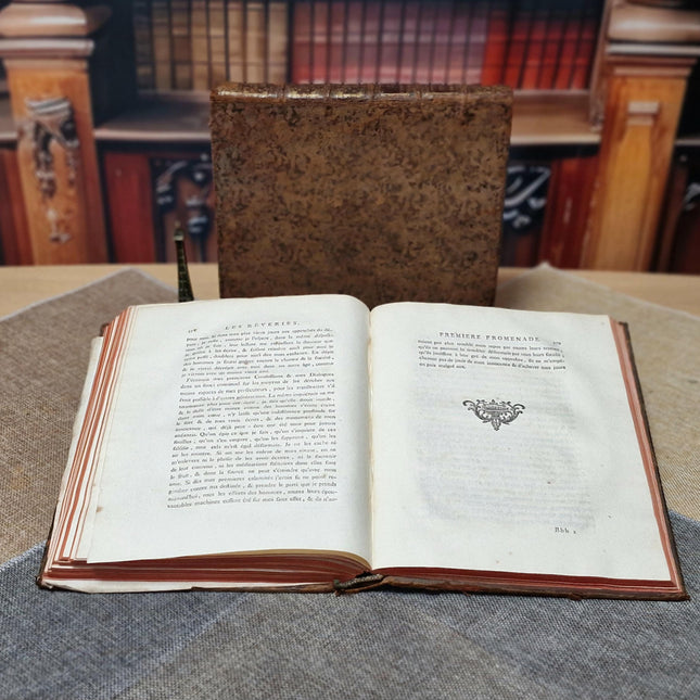 Antique French Books by Rousseau, 18th Century Set, Leather Bound Enlightenment Writings, Library Display, Bookshelf Styling for Collectors