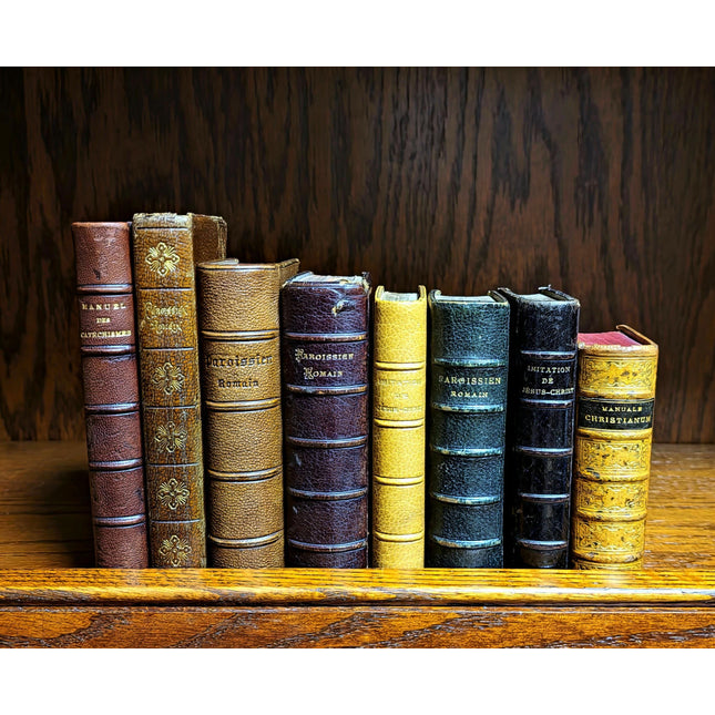 Rare Antique Religious French Book Set, Morocco Leather Bound, Dark Academia Bookshelf Decor, Shabby Chic Library Display, Collectible Gift