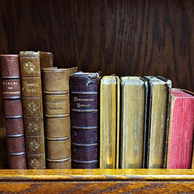 Rare Antique Religious French Book Set, Morocco Leather Bound, Dark Academia Bookshelf Decor, Shabby Chic Library Display, Collectible Gift