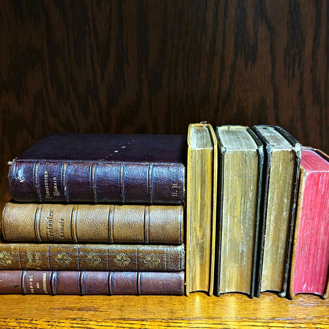 Rare Antique Religious French Book Set, Morocco Leather Bound, Dark Academia Bookshelf Decor, Shabby Chic Library Display, Collectible Gift