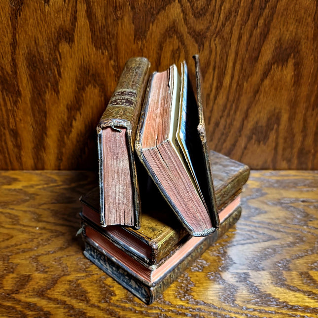 1760 Antique French Book Set, Leather Bound Volumes, Vintage Decorative Library Decor, Dark Academia Bookshelf Styling, Rare Paris Edition