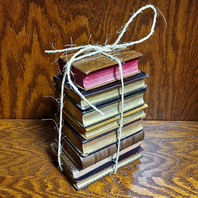 Rare Antique Religious French Book Set, Morocco Leather Bound, Dark Academia Bookshelf Decor, Shabby Chic Library Display, Collectible Gift