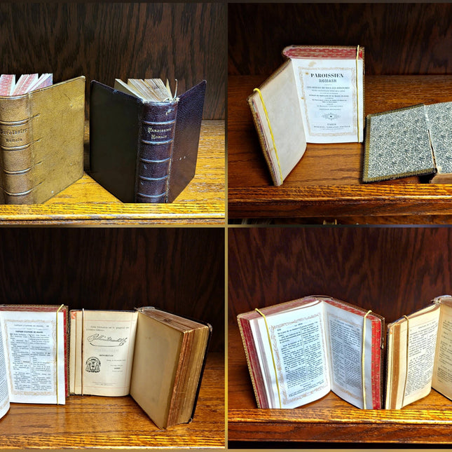Rare Antique Religious French Book Set, Morocco Leather Bound, Dark Academia Bookshelf Decor, Shabby Chic Library Display, Collectible Gift