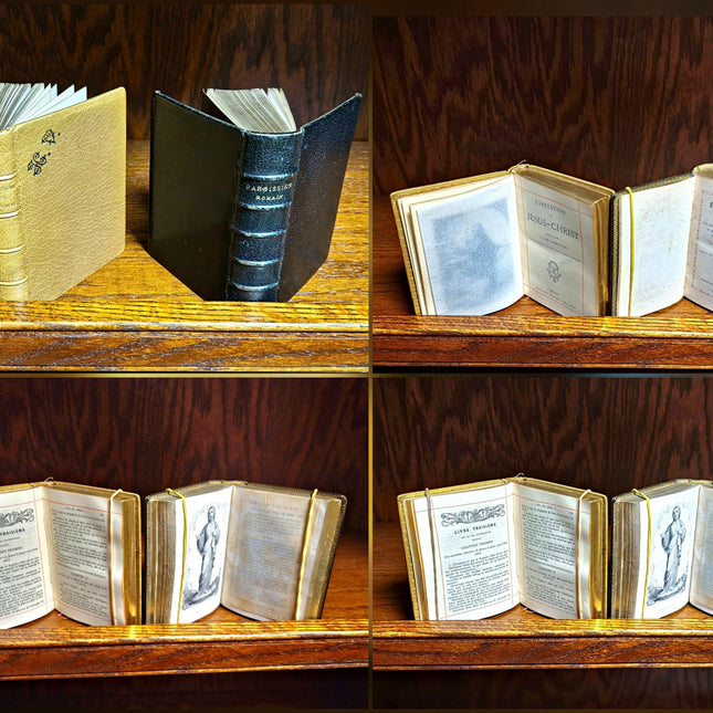 Rare Antique Religious French Book Set, Morocco Leather Bound, Dark Academia Bookshelf Decor, Shabby Chic Library Display, Collectible Gift