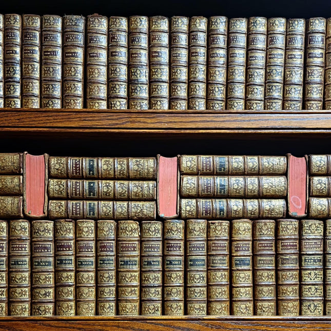 Antique French Leather Bound Books, 17th–20th Century, Dark Academia Bookshelf Decor, Vintage Library Collection for Interior Design