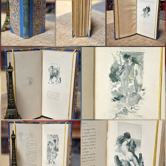 Antique French Leather Bound Books, 19th–Early 20th Century, Dark Academia Bookshelf Decor, Vintage Library Interior Set
