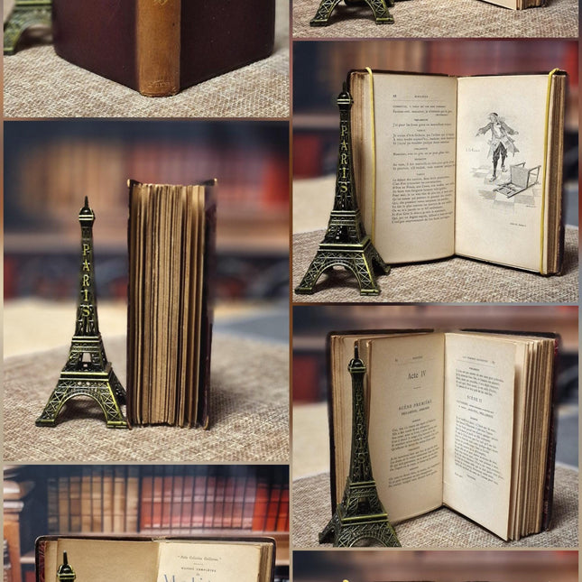 Antique French Leather Bound Books, 19th–Early 20th Century, Dark Academia Bookshelf Decor, Vintage Library Interior Set