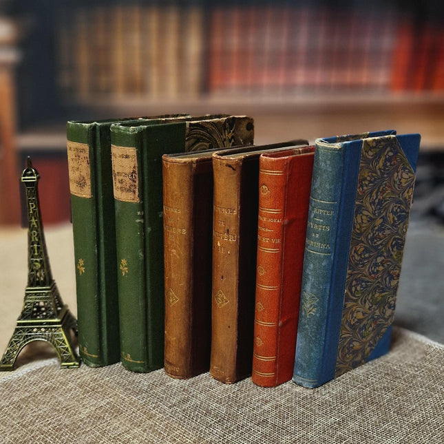 Antique French Leather Bound Books, 19th–Early 20th Century, Dark Academia Bookshelf Decor, Vintage Library Interior Set