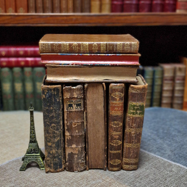 Rare Antique Religious French Book Set, Leather Bound, Catholic Spiritual Decor, Dark Academia Bookshelf Gift, Shabby Chic Library Display