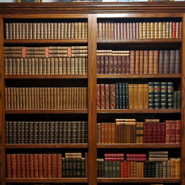 Antique French Leather Bound Books, 17th–20th Century, Dark Academia Bookshelf Decor, Vintage Library Collection for Interior Design