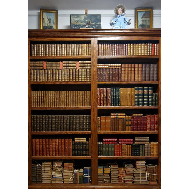 Antique French Leather Bound Books, 17th–20th Century, Dark Academia Bookshelf Decor, Vintage Library Collection for Interior Design