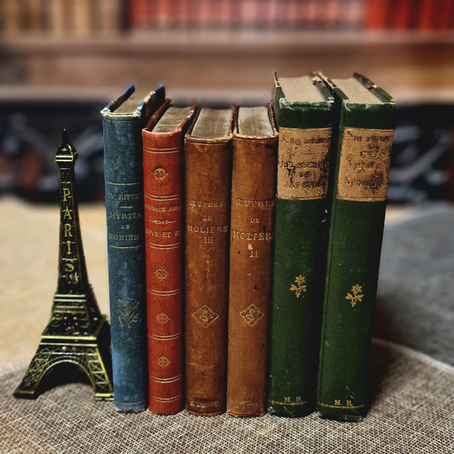 Antique French Leather Bound Books, 19th–Early 20th Century, Dark Academia Bookshelf Decor, Vintage Library Interior Set