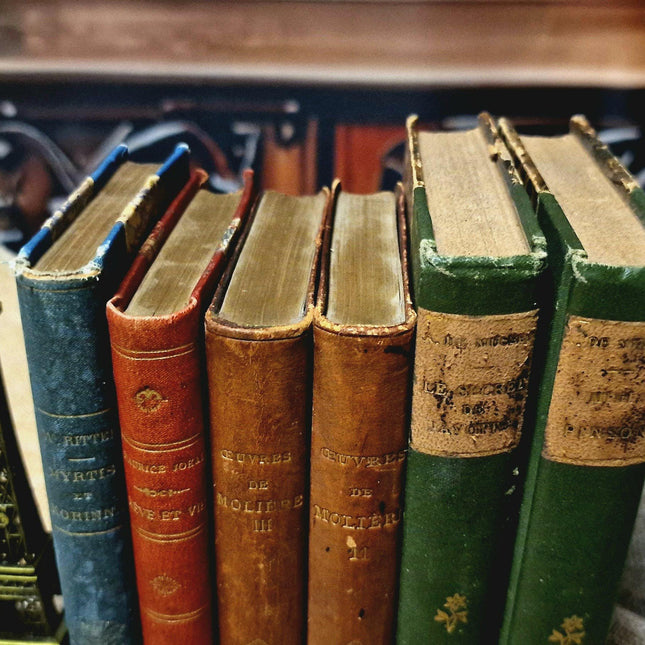 Antique French Leather Bound Books, 19th–Early 20th Century, Dark Academia Bookshelf Decor, Vintage Library Interior Set