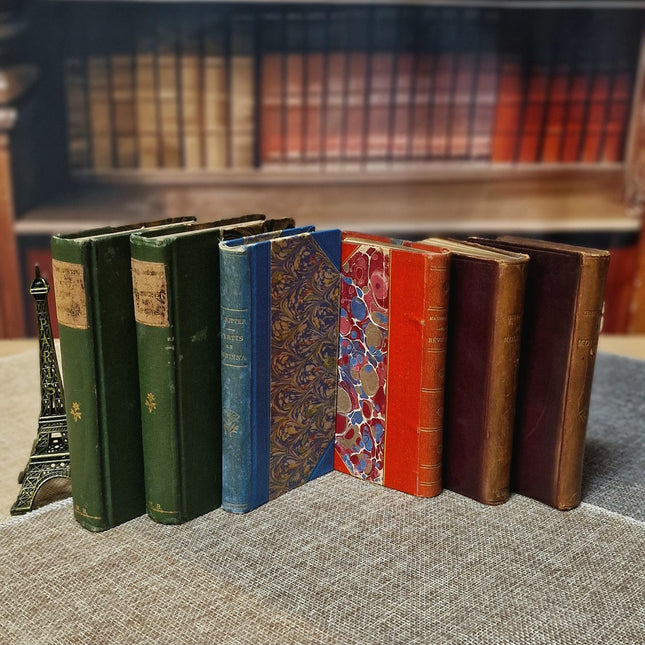 Antique French Leather Bound Books, 19th–Early 20th Century, Dark Academia Bookshelf Decor, Vintage Library Interior Set