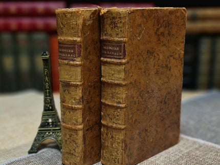 1777 Rare Antique French Leather Bound History Books, German Public Law, Two Volume Set, Enlightenment Era Library, Bookshelf Decor
