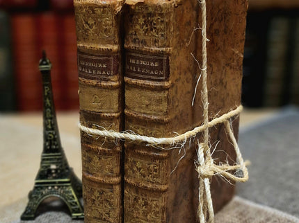 1777 Rare Antique French Leather Bound History Books, German Public Law, Two Volume Set, Enlightenment Era Library, Bookshelf Decor