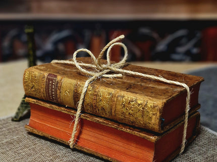 1777 Rare Antique French Leather Bound History Books, German Public Law, Two Volume Set, Enlightenment Era Library, Bookshelf Decor