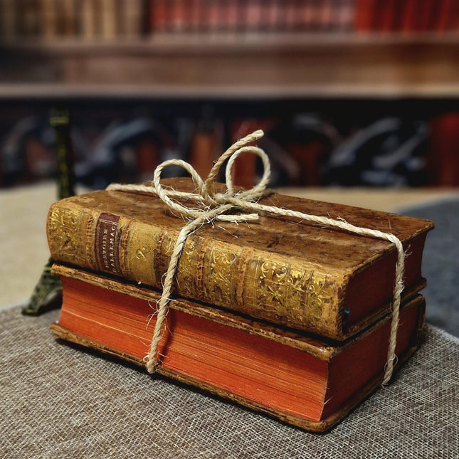 1777 Rare Antique French Leather Bound History Books, German Public Law, Two Volume Set, Enlightenment Era Library, Bookshelf Decor