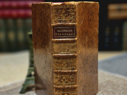 1777 Rare Antique French Leather Bound History Books, German Public Law, Two Volume Set, Enlightenment Era Library, Bookshelf Decor