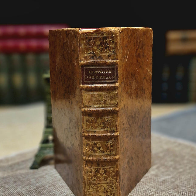 1777 Rare Antique French Leather Bound History Books, German Public Law, Two Volume Set, Enlightenment Era Library, Bookshelf Decor