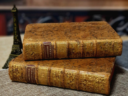 1777 Rare Antique French Leather Bound History Books, German Public Law, Two Volume Set, Enlightenment Era Library, Bookshelf Decor