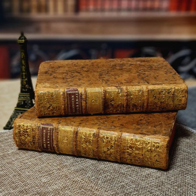1777 Rare Antique French Leather Bound History Books, German Public Law, Two Volume Set, Enlightenment Era Library, Bookshelf Decor