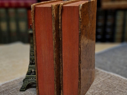 1777 Rare Antique French Leather Bound History Books, German Public Law, Two Volume Set, Enlightenment Era Library, Bookshelf Decor