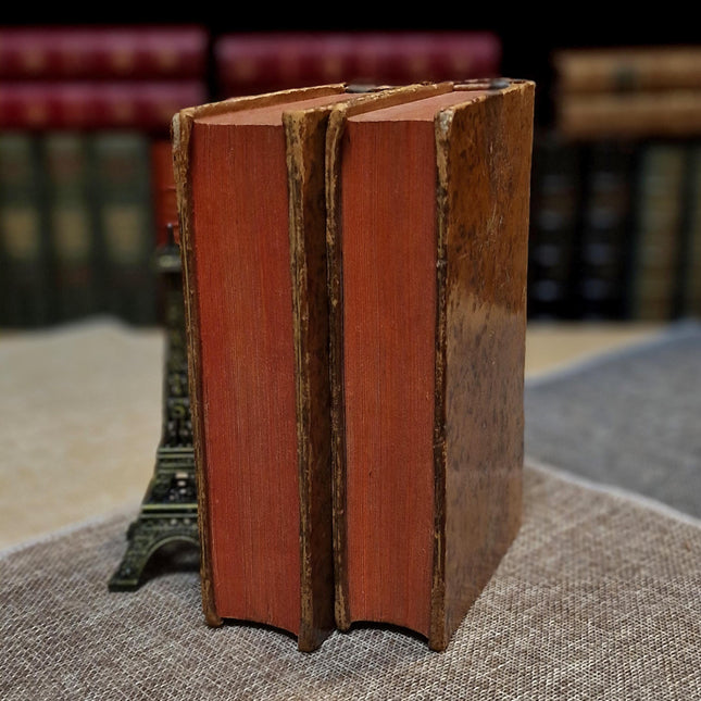 1777 Rare Antique French Leather Bound History Books, German Public Law, Two Volume Set, Enlightenment Era Library, Bookshelf Decor