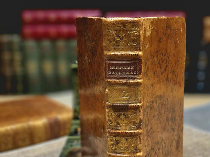 1777 Rare Antique French Leather Bound History Books, German Public Law, Two Volume Set, Enlightenment Era Library, Bookshelf Decor