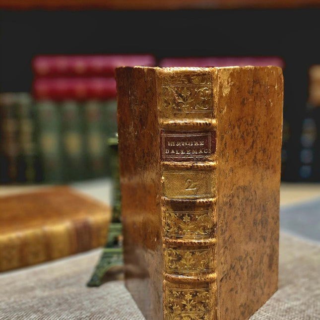 1777 Rare Antique French Leather Bound History Books, German Public Law, Two Volume Set, Enlightenment Era Library, Bookshelf Decor