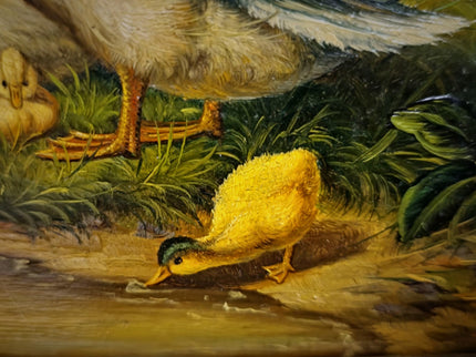 Antique Dutch Animal Oil Painting with Duck Family, Signed Artwork, Rustic Farmhouse Decor, Collectible Fine Art, Gold Framed Bird Wall Art
