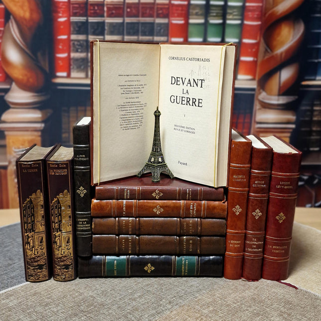 Antique French Leather Bound Books, 17th–20th Century, Dark Academia Bookshelf Decor, Vintage Library Collection for Interior Design