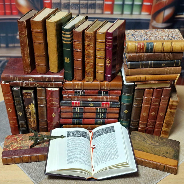 Antique French Leather Bound Books, 17th–20th Century, Dark Academia Bookshelf Decor, Vintage Library Collection for Interior Design