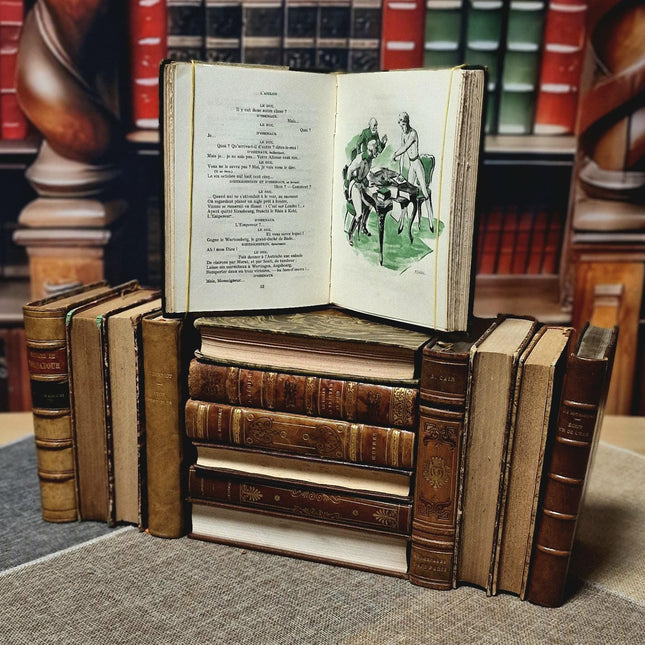 Antique French Leather Bound Books, 17th–20th Century, Dark Academia Bookshelf Decor, Vintage Library Collection for Interior Design