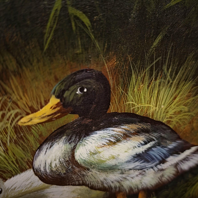 Vintage Duck Family Oil Painting, Signed German Artwork, Gold Framed Animal Scene, Rustic Wildlife Decor, European Cottagecore Wall Art